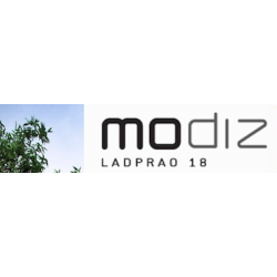 Modiz Project ( Ladprao 18 )